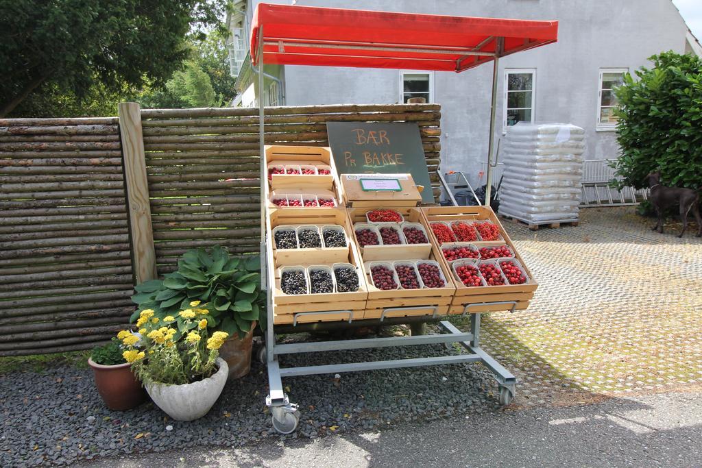Strandsegard Ferielejlighed Ølsted Extérieur photo